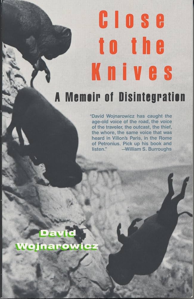 Close to the Knives: A Memoir Of Disintegration by David Wojnarowicz