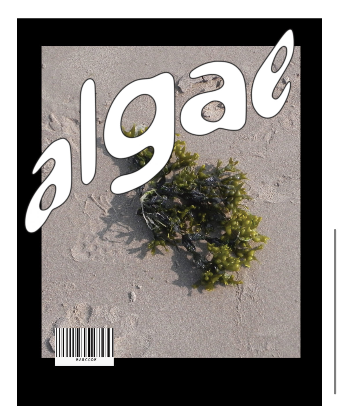 ALGAE Issue 3: Regeneration