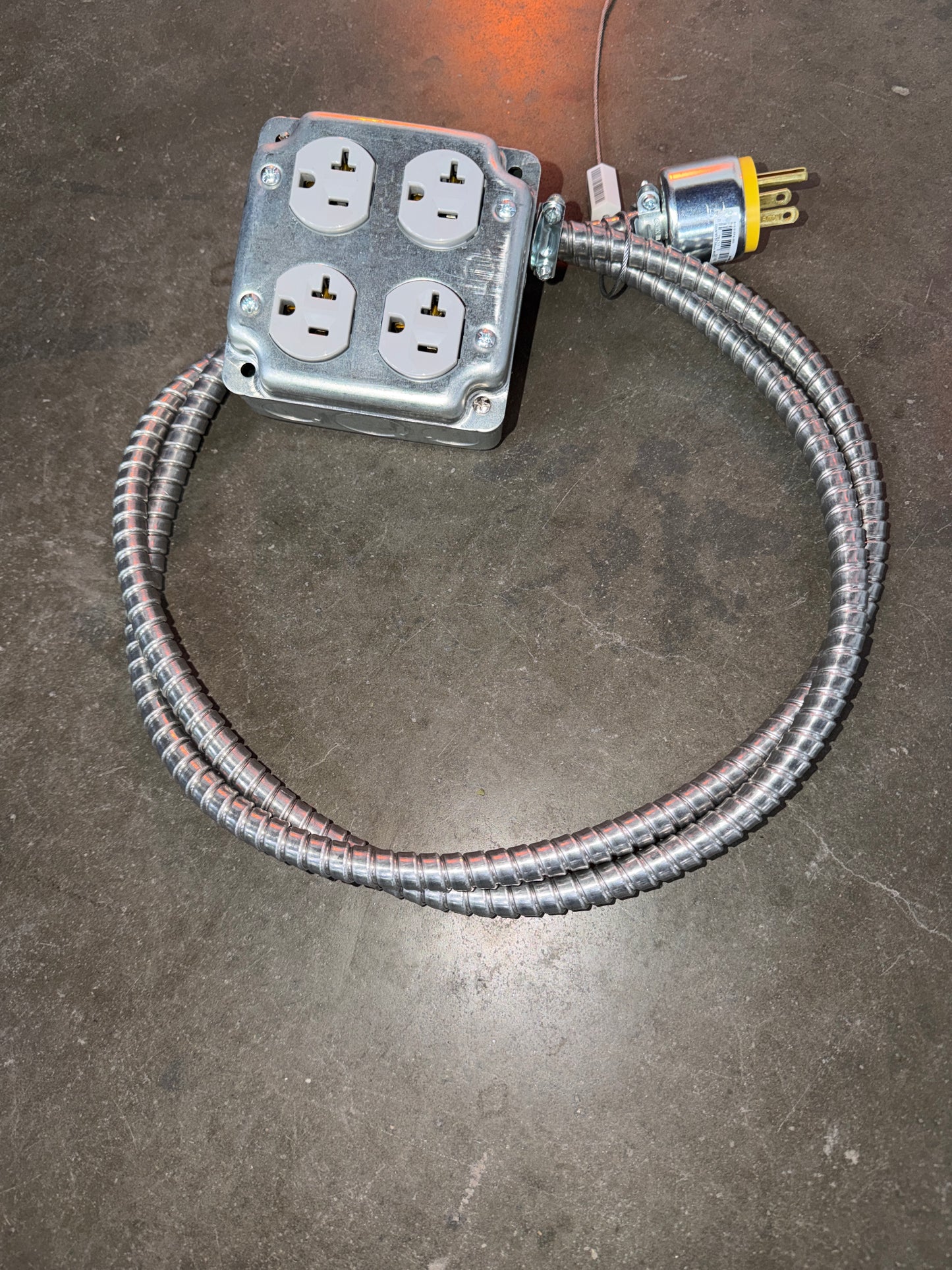 ANIMAL extension cord