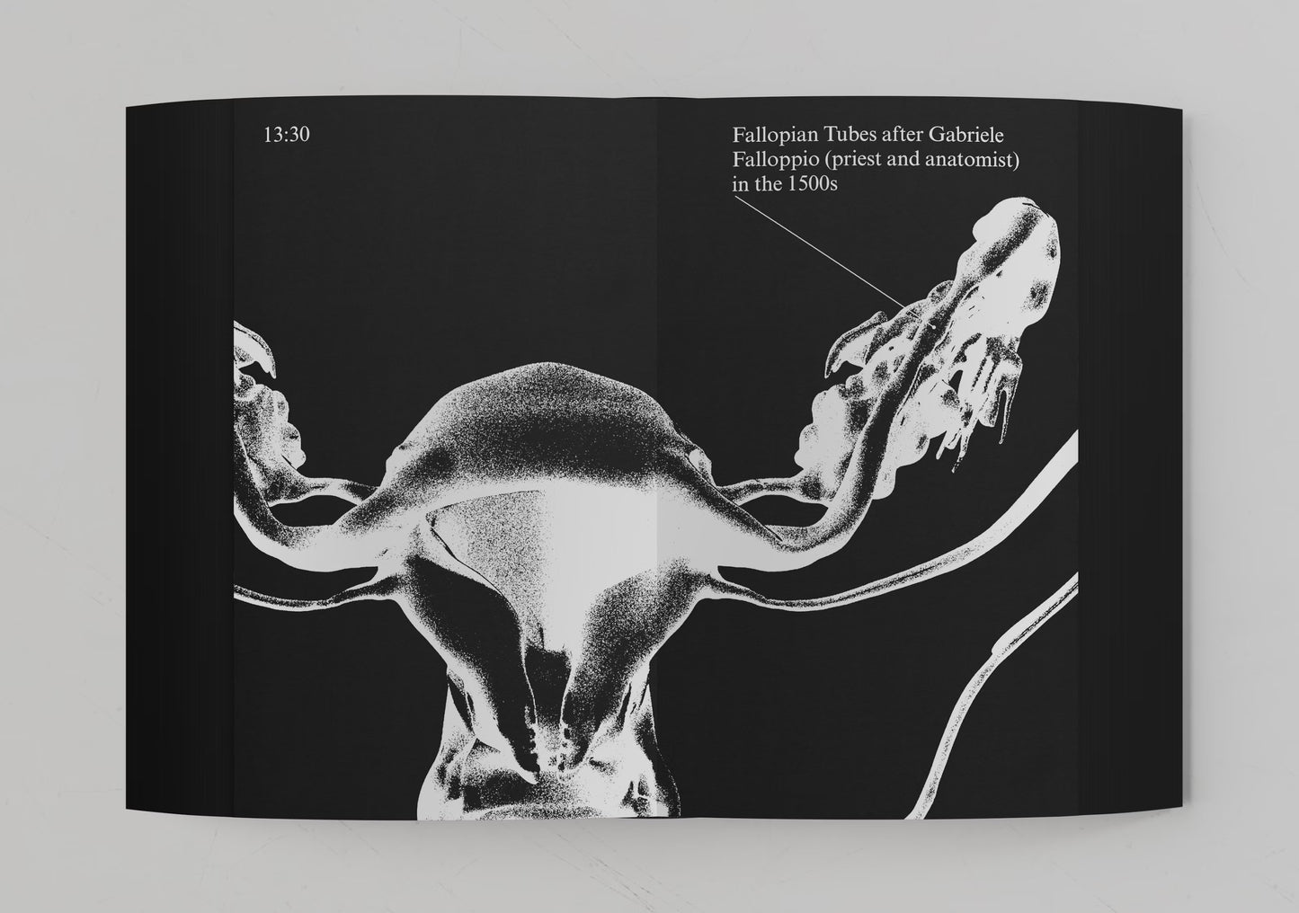 A Sexual History of the Internet by Mindy Seu