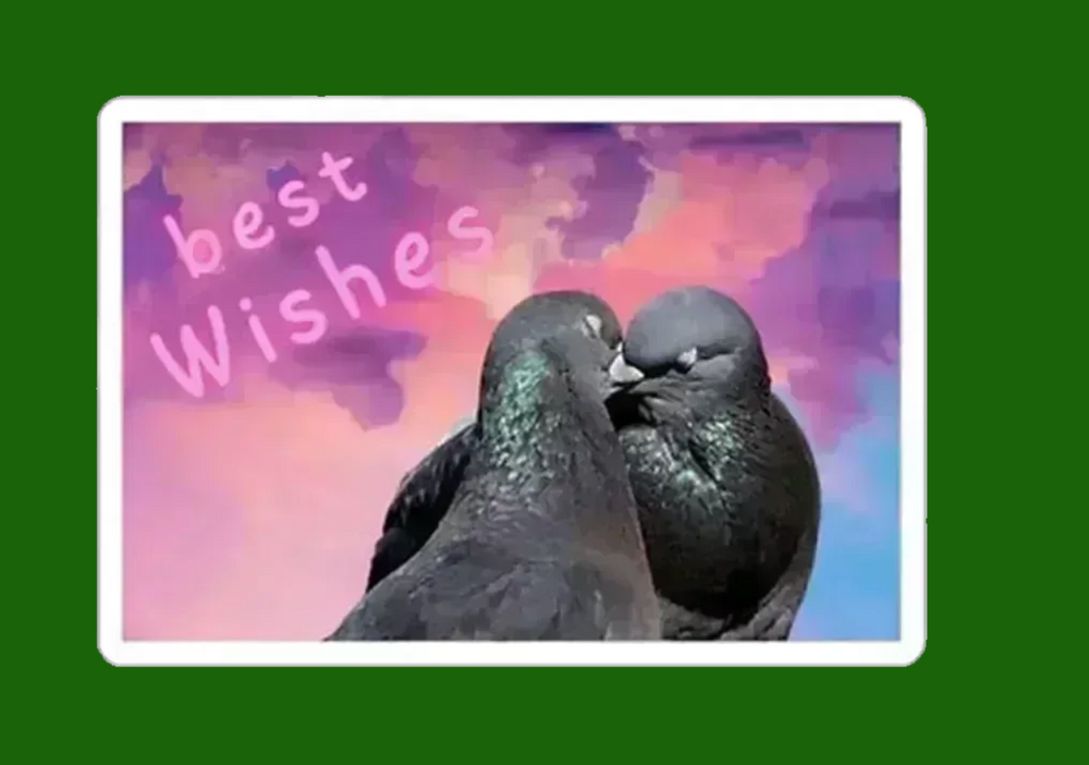 Best Wishes Sticker