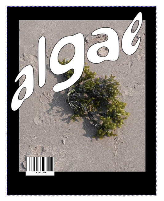 ALGAE Issue 3: Regeneration