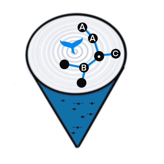 Sci Con: Listening to Whales Patch