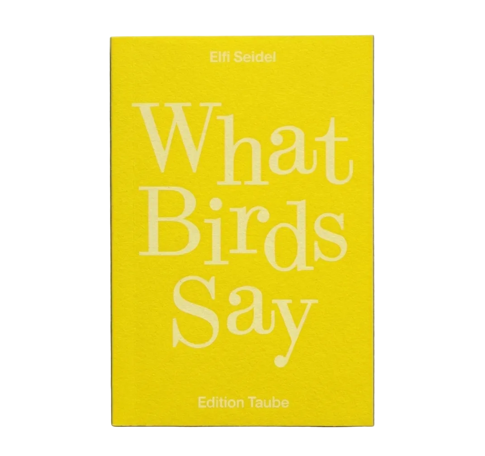 What Birds Say by Elif Seidel