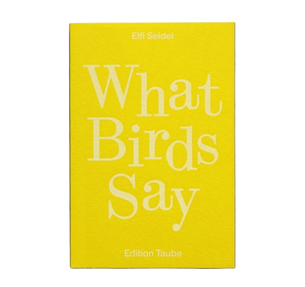 What Birds Say by Elif Seidel