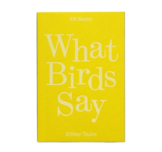What Birds Say by Elif Seidel
