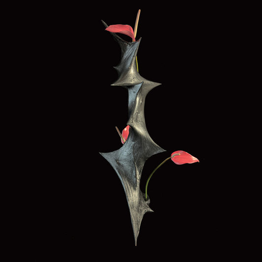 Vibration II by Chris Williams