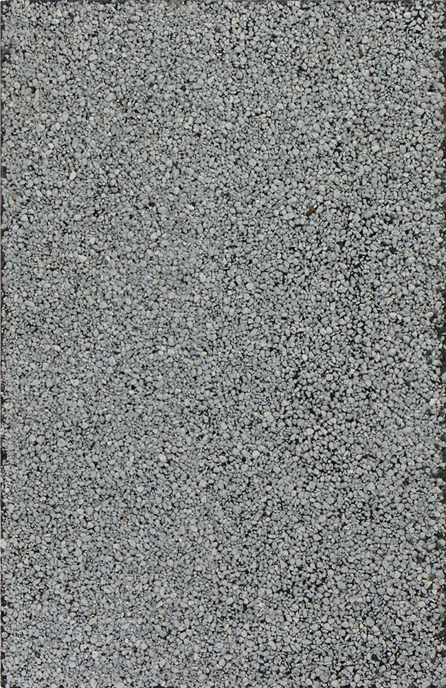 Flood [ARTIST EDITION] by Charles Harlan